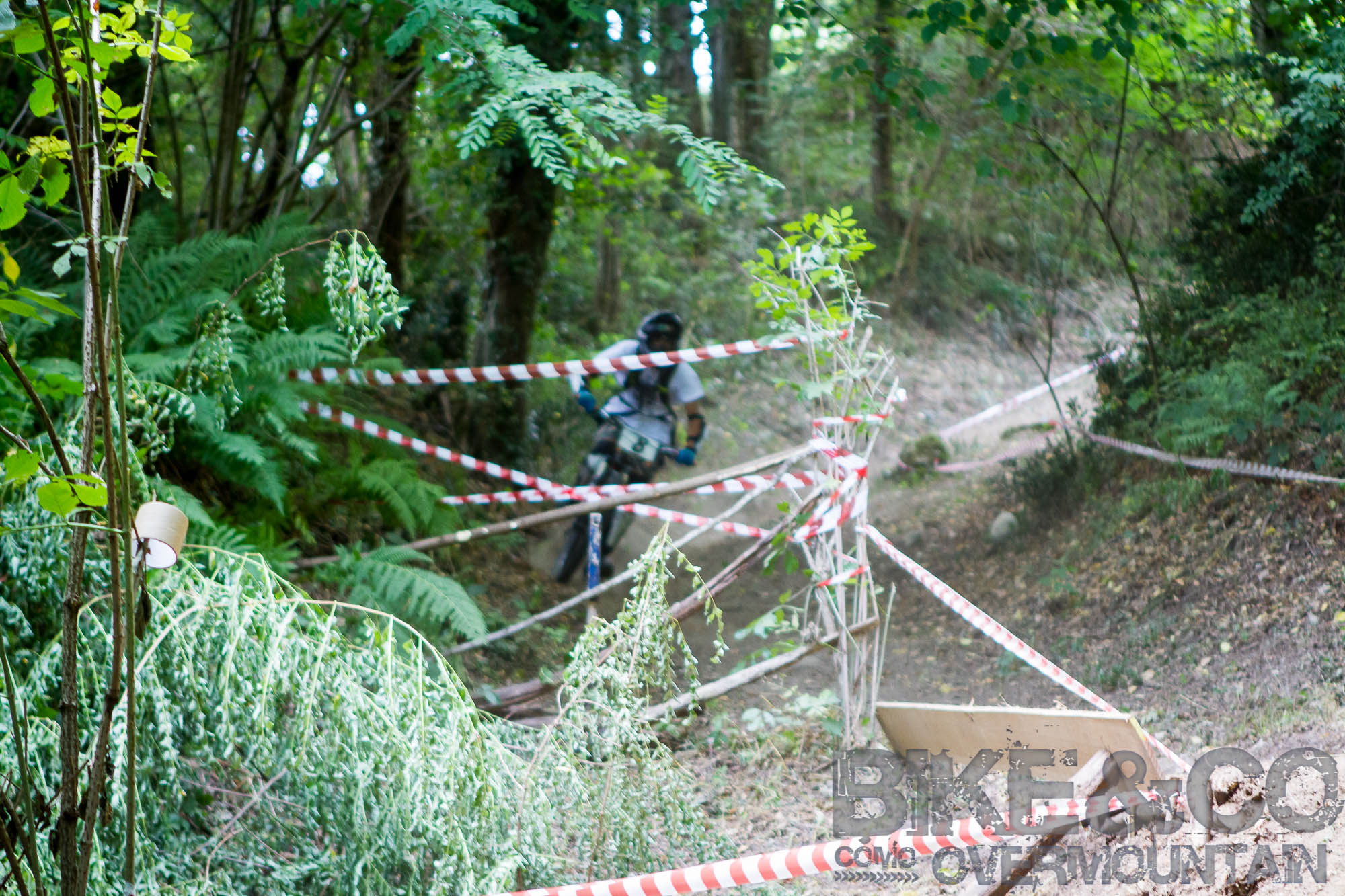 FreerideBirrasprint2015-2199