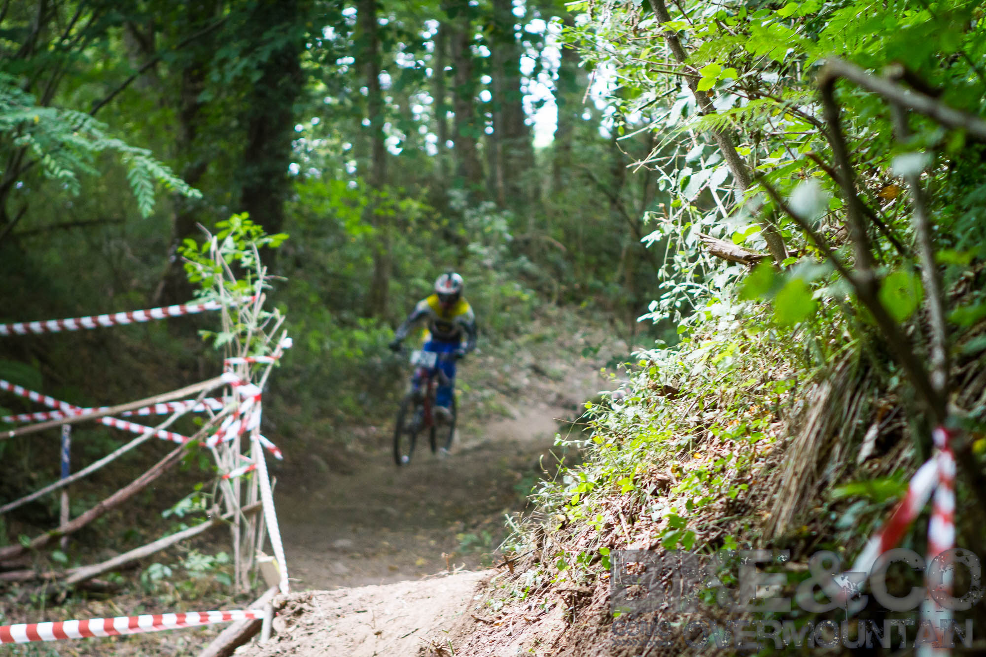 FreerideBirrasprint2015-2350