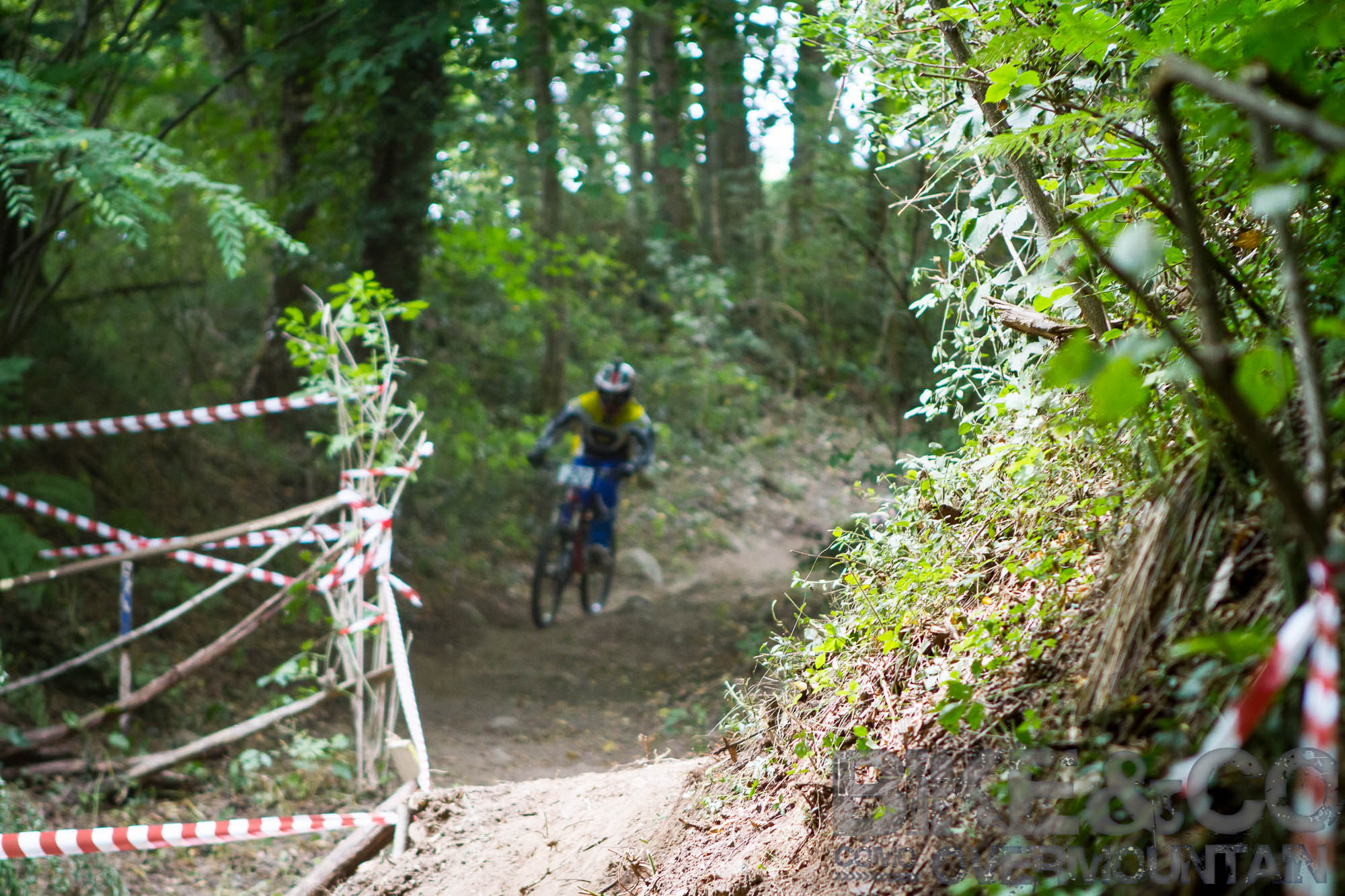 FreerideBirrasprint2015-2351
