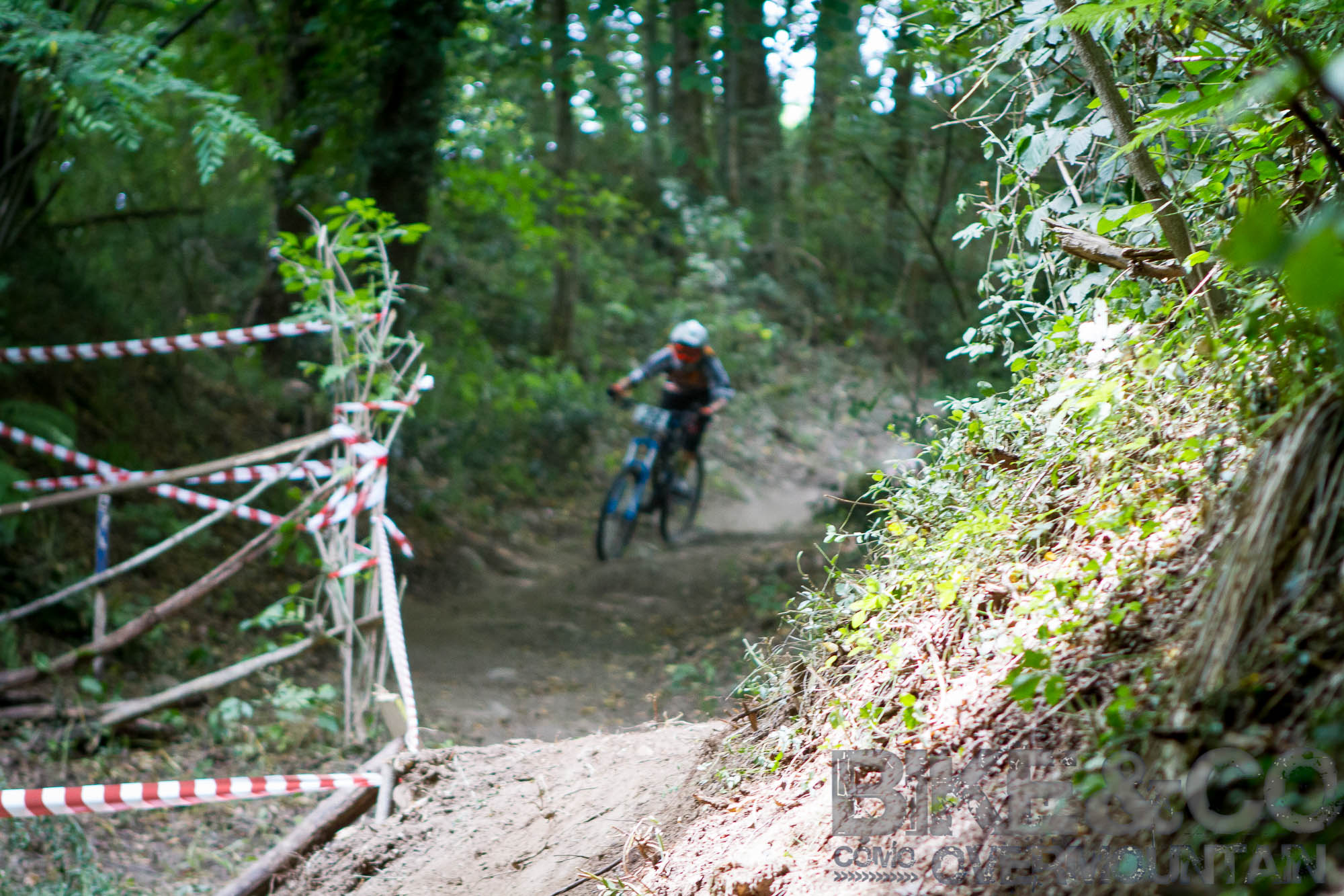 FreerideBirrasprint2015-2446