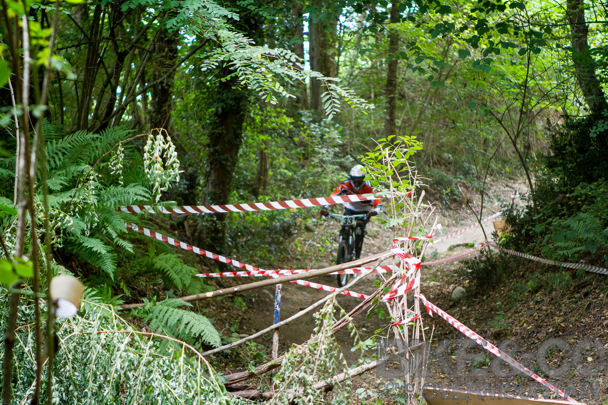 FreerideBirrasprint2015-2490