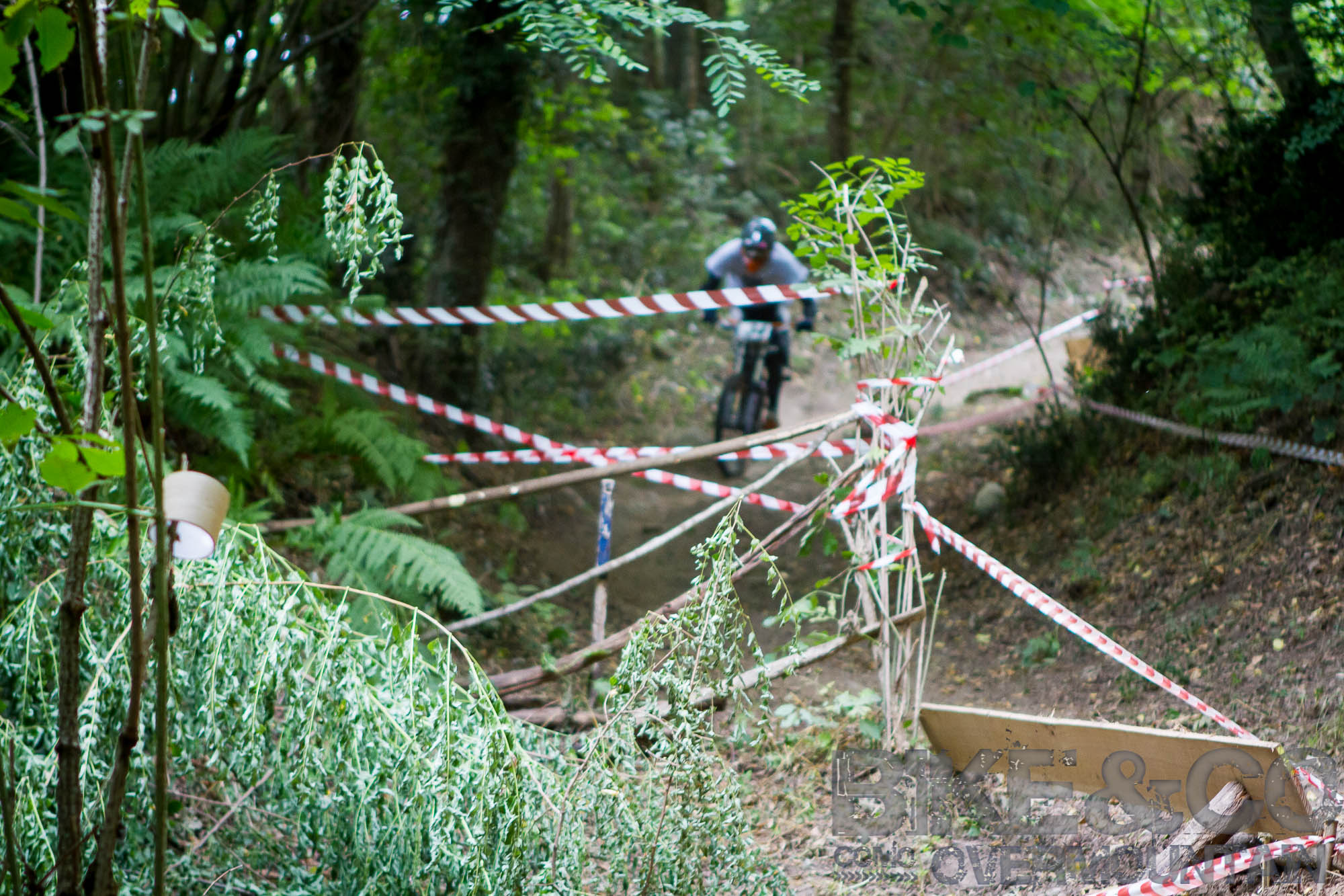 FreerideBirrasprint2015-2501