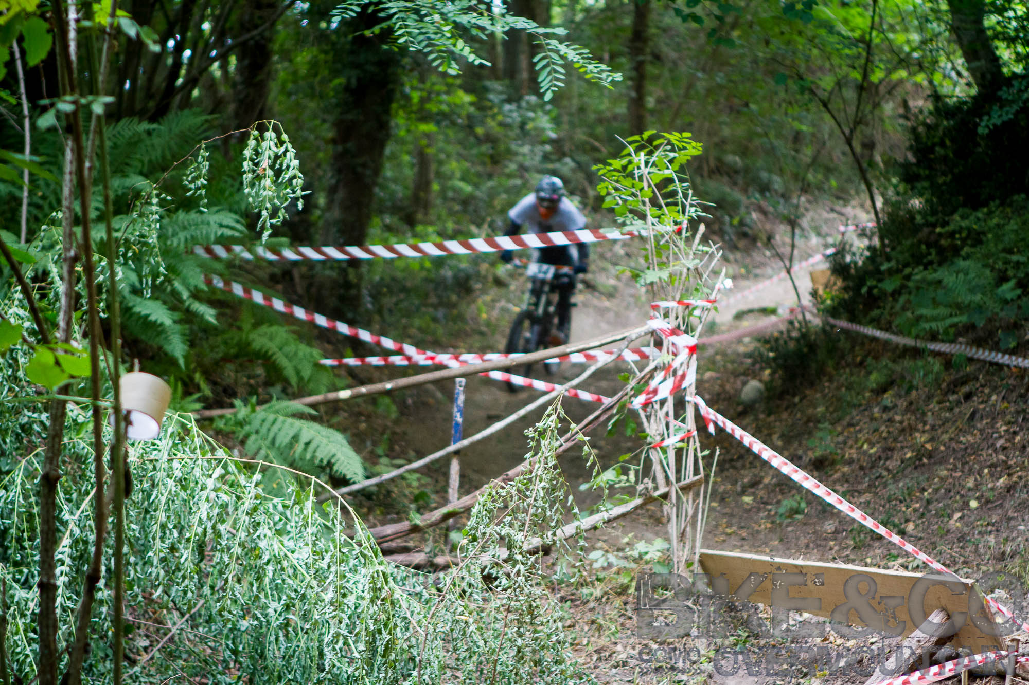 FreerideBirrasprint2015-2502