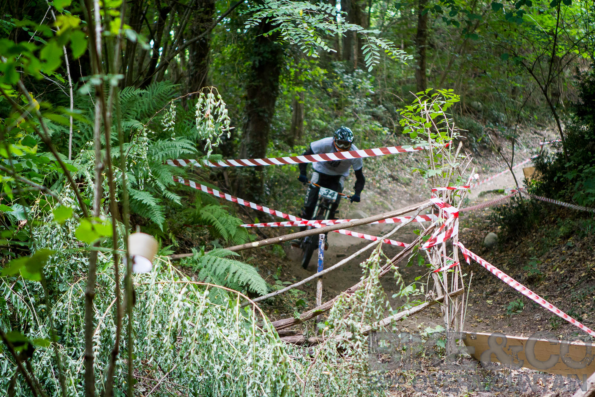 FreerideBirrasprint2015-2503