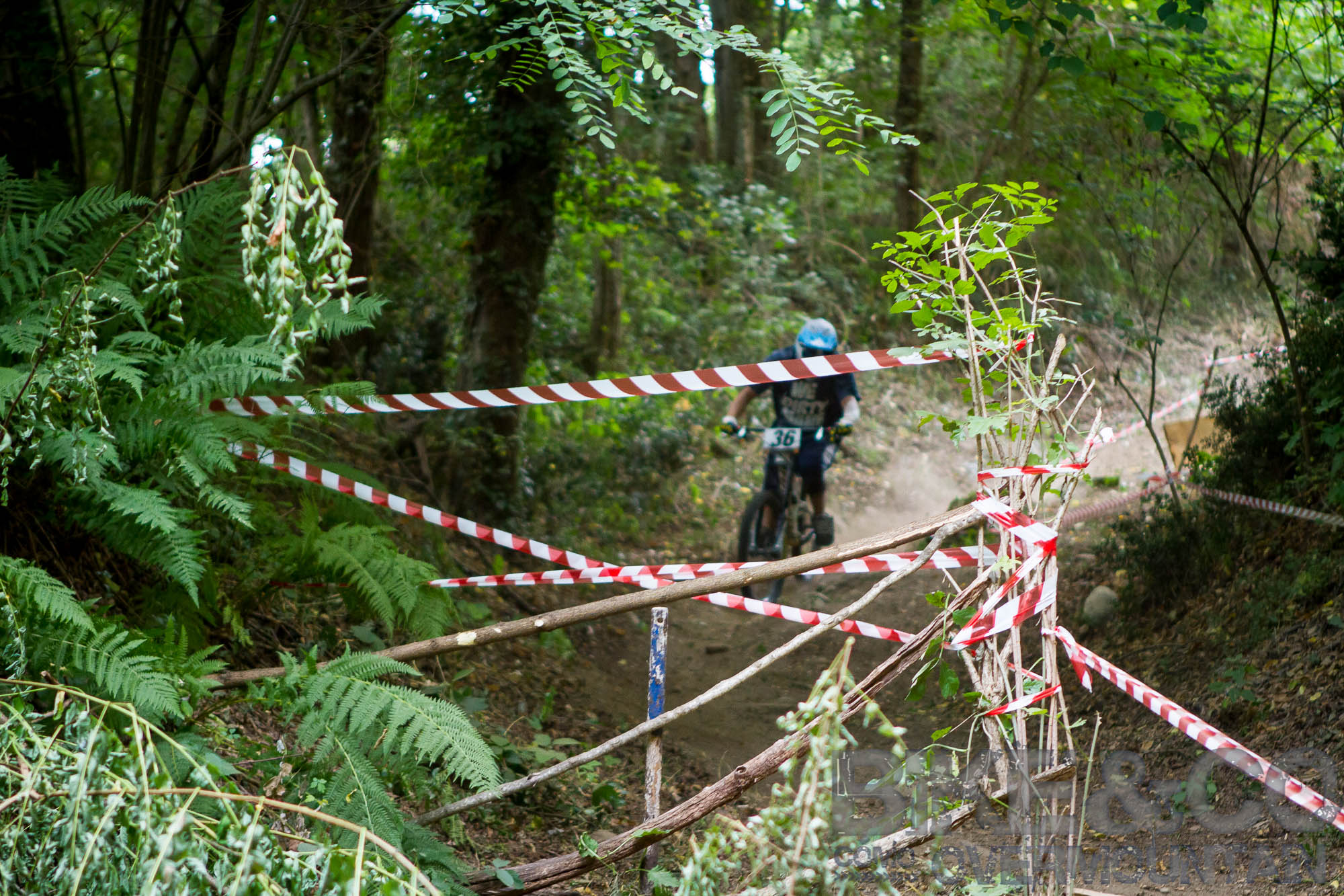 FreerideBirrasprint2015-2526