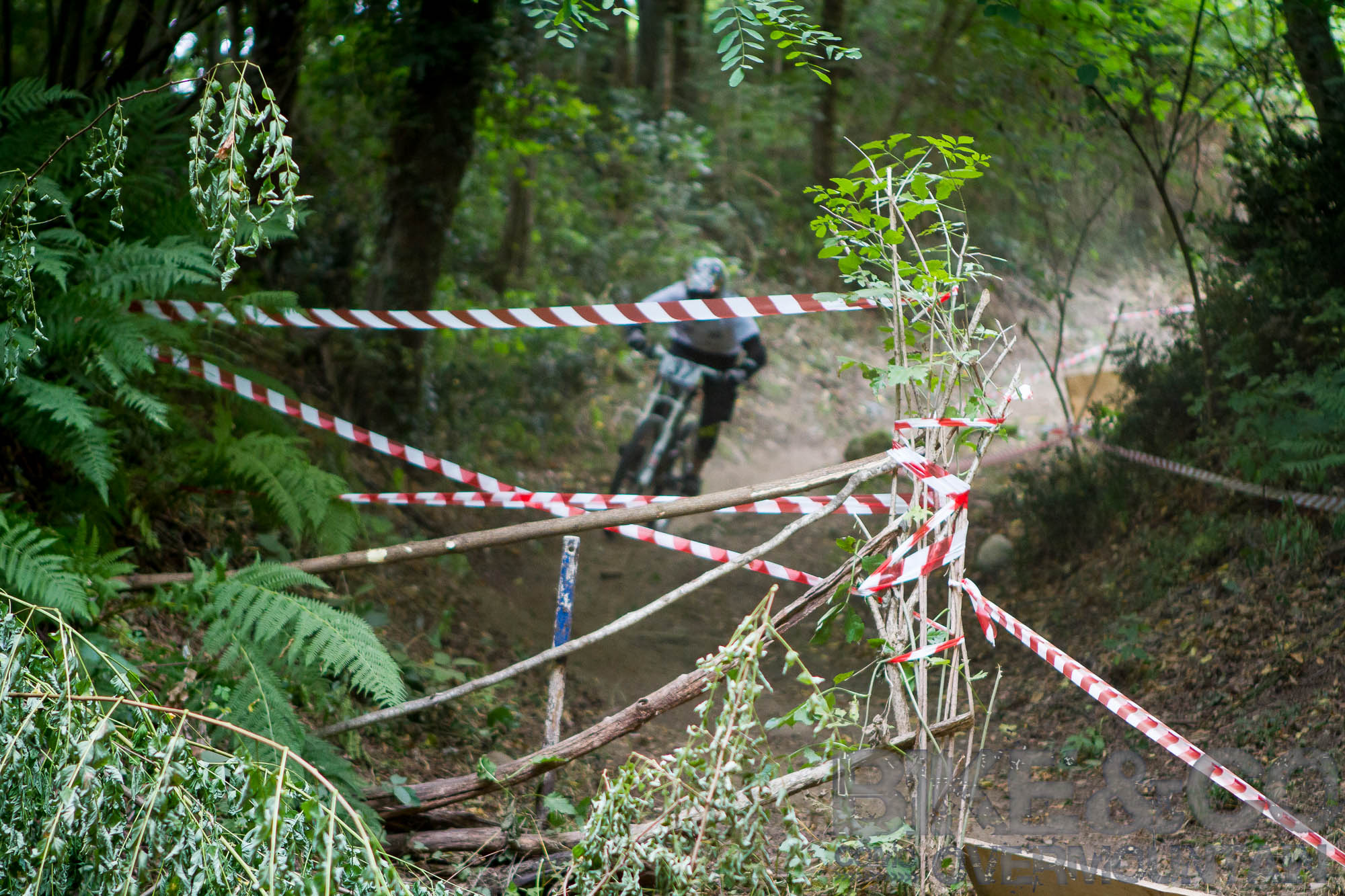 FreerideBirrasprint2015-2535