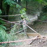 FreerideBirrasprint2015-2269