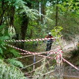 FreerideBirrasprint2015-2490