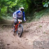 FreerideBirrasprint2015-2630